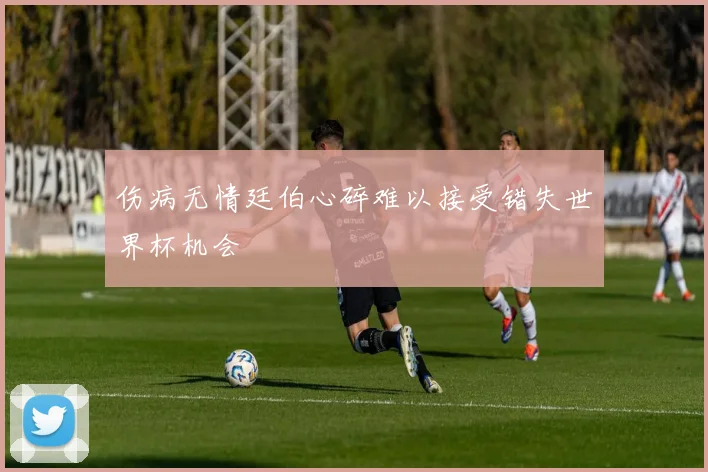 伤病无情廷伯心碎难以接受错失世界杯机会